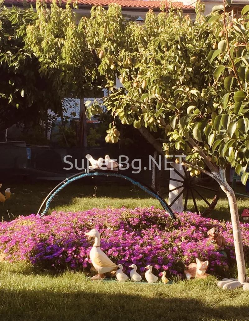 1 комн. квартира в Свети-Влас